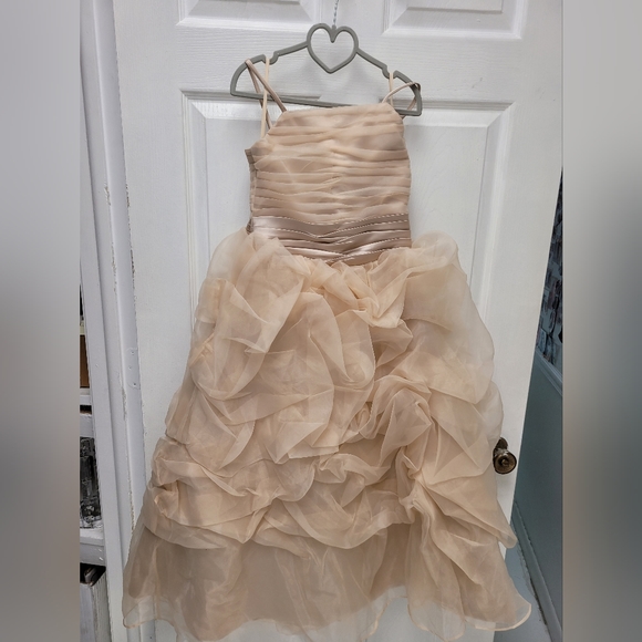 COPY - Champagne flower girl dress size 8/10 - Picture 2 of 4